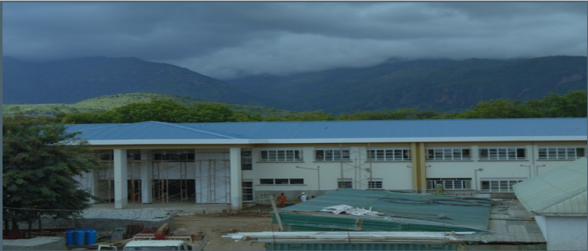 Maternity block